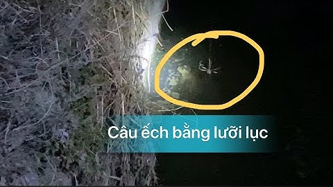 Câu ếch bằng lưỡi lục Bắt ếch kiểu hàn quốc vlogs cuộc sống hàn quốc