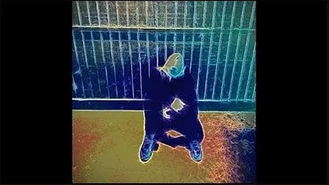 Counterfeit - Nightmare (feat. Simy) [Prod. Becksuses]