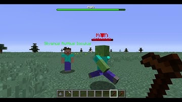 custom npcs mod tutorial guide part (2 stats tab) quality improvement