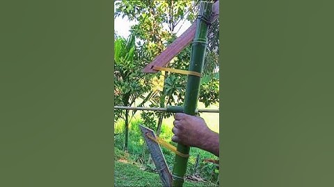 A DIY slingshot Bamboo  craft #bamboo  #shots