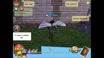 wizar101 commons glitch