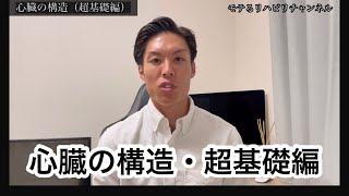 【4分で学べる・超基礎編】心臓の構造とは