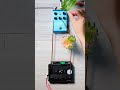 Flower + Tape Loop | Cloudburst Reverb　#shorts