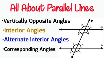 Types of Angles Formed by a Transversal with two Parallel Lines | New Book Ch 4 Class 7th Math PTB