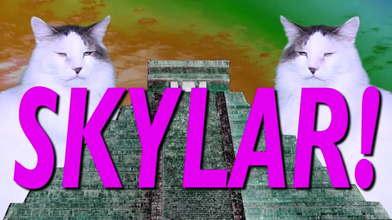 ¡FELIZ CUMPLEAÑOS SKYLAR! Canción Comica de Cumpleaños