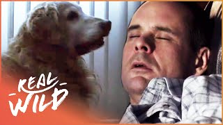 Hero Dog Saves Family When A Dangerous Fire Breaks Out | Pet Heroes | Real Wild