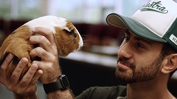 Grenfell Campus Tour Video 2020