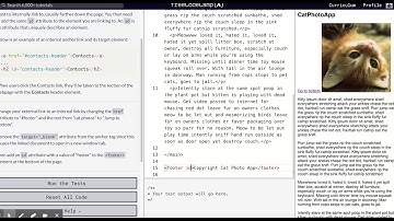 Learn Basic HTML and HTML5 Link to Internal Sections of a Page with Anchor Elements - 11
