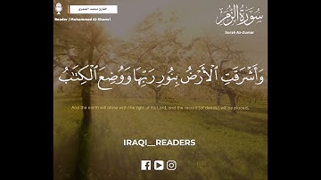واشرقت الأرض بنور ربها || تلاوة عراقية رائعة بصوت محمد الشمري😍💖