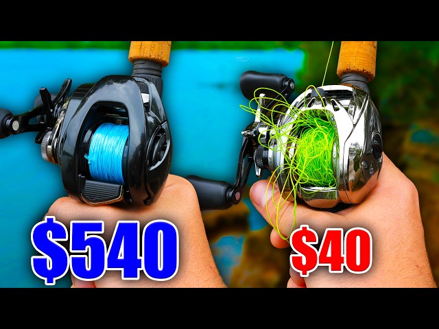 cyber monday 2016 deals fishing reels Diwa Spinning for Saltwater Freshwater 3000 4000 5000 6000 7000 Spools Ultra Smooth Ultralight Powerful Trout Bass Carp Gear Stainless Ball Bearings Metal Body Ice Fishing Reels(3000) : Sports & Outdoors spooled with 20 lb monofilament line The 54 Best Black Friday