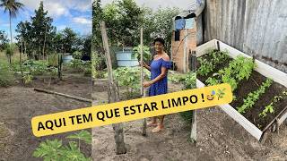 Batendo papo e limpando a horta 🌱 rotina simples