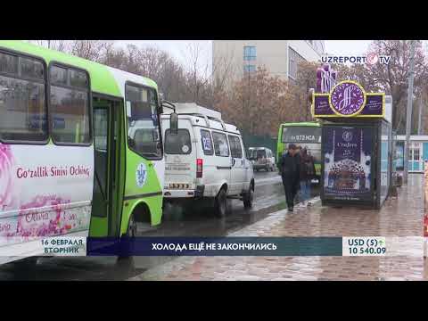 Аномально тёплая погода