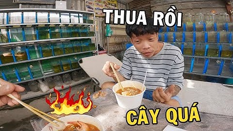 Cuộc thi ăn Mì Cây với ông chủ trại cá Betta và cái kết