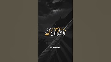 ناصر القطامي // قرآن كريم // حالات واتس اب// ستوريات انستغرام💜🌷#أجمل_حالات_القرآن