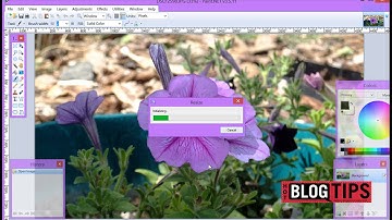 How To Resize an Image in Paint.net