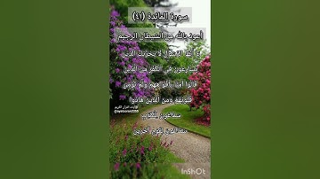 سورة المائدة الآية ٤١ ¹