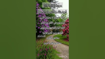 سورة المائدة الآية ٤١ ¹