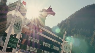 Lights || Equestrian Music Video