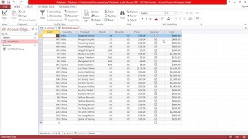 IT MS Access 12   Filter Query Records Using Fields with Boolean Values
