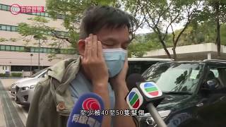 行山人士注意！ 10人八仙嶺遭黃蜂螫傷送院; 行山專家：意外 ...