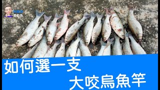【阿賢爸】愛釣魚 Ep.49  如何選一支適合的烏魚竿 (珠鉤釣法阿賢爸大咬釣組) [半字幕]