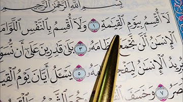 كيف نقرأ سورة القيامه مع شرح أحكام التجويد في كل كلمه #تعليم_القران #تصحيح_تلاوة