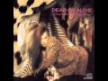 Dead Or Alive - Absolutely Nothing