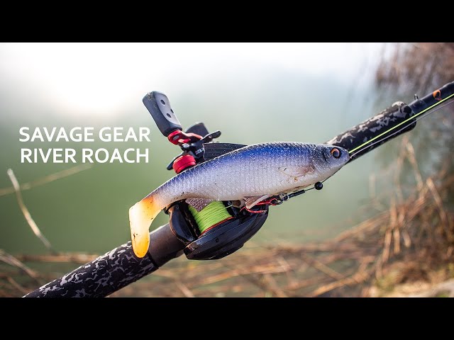 Lure Fishing For Pike - Savage Gear 3D River Roach (Review) - The Lure  CHALLENGE 