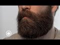 Beard Tour | Jeff Buoncristiano