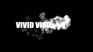 Vivid Visual Films Intro