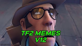 TF2 MEMES V12