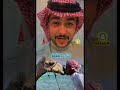 حنا بدو احرار
