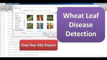Wheat Leaf Disease Detection Using CNN Convolutional Neural Network | Matlab Final Year Project Code