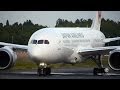 【Full HD】JAL B787 Dreamliner Landing @Narita RWY34R