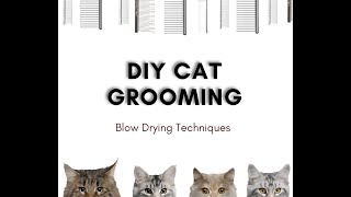 Blow Drying Techniques