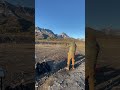 Remington TAC-14 slug shooting