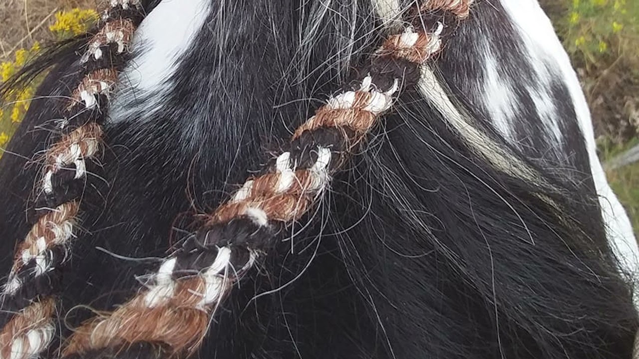 Mecate Artisanry- Helen Dougal