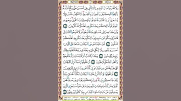 149 الصفحة مائة وتسعة وأربعين سورة الأنعام.