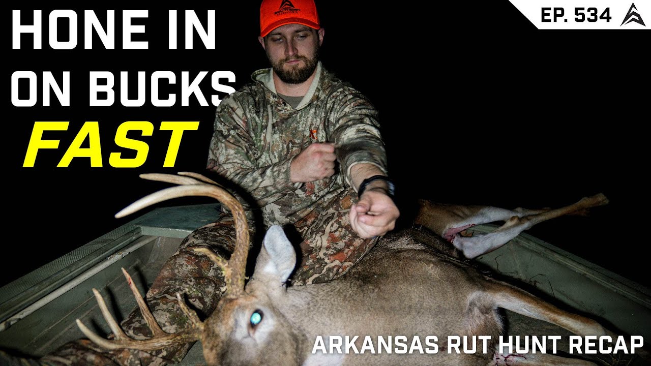 5 BUCKS IN 5 DAYS! QUICKLY Honing In On BUCKS in the RUT - Arkansas ...