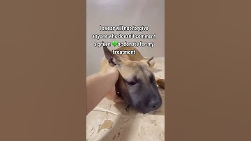 Can you help? 🐾💕 Donate via PayPal (link in bio) and support this little one’s road to recovery! 🌈”