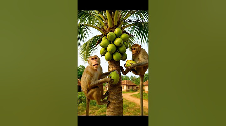 தென்ன மரத்த மொட்டயடிக்க போறோம்🐒💯#FYP#ForYou#Explore#ViralVideo#ShortsVideo#AnimalsOfYouTube