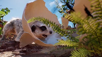 Meerkat Demo RTX raytracing edit with megascan plants Unreal Engine 5