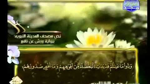القران الكريم|الجزء الرابع (4)|الشيخ عمر القزابري