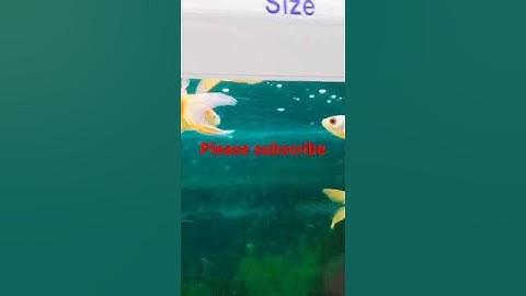 My First Vlog viral trick#short #shorts #shortvideo#shortsvideo #youtubeshorts #youtube