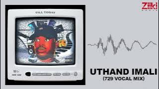 Dzo 729 - Uthand iMali ft. MalumNator (Audio Visualizer)