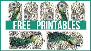 ? Friday freebie free printables craft giveaway