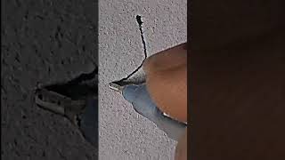 Anime boy side face #shorts