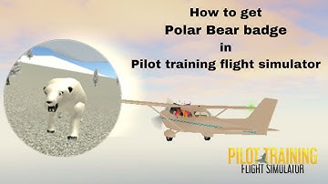 How to Find POLAR BEAR in Pilot training flight simulator