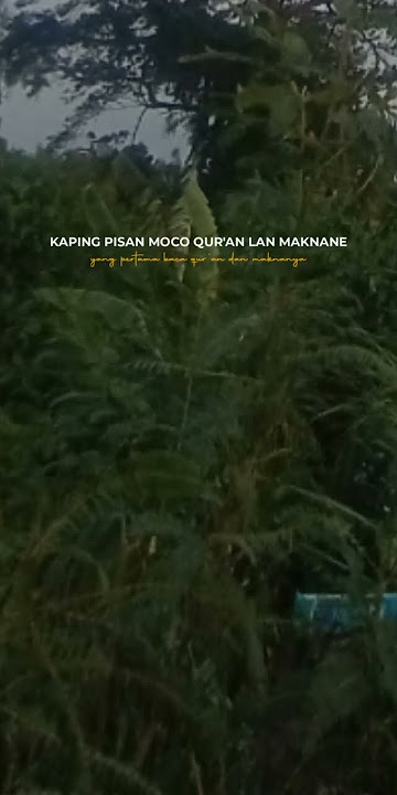 SHOLAWAT NING UMI LAILA TERBARU TOMBO ATI SHOLAWAT JAWA#ningumilailaterbaru #sholawat #nabimuhammad