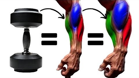 BUILD HUGE FOREARMS with These 7 Perfect Forearm Exercises | Dumbbell Only